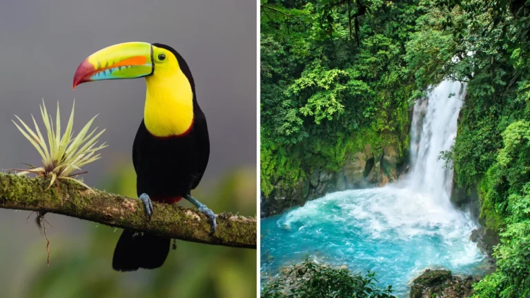 Costa Rica vs. Honduras: Which is better for vacation?