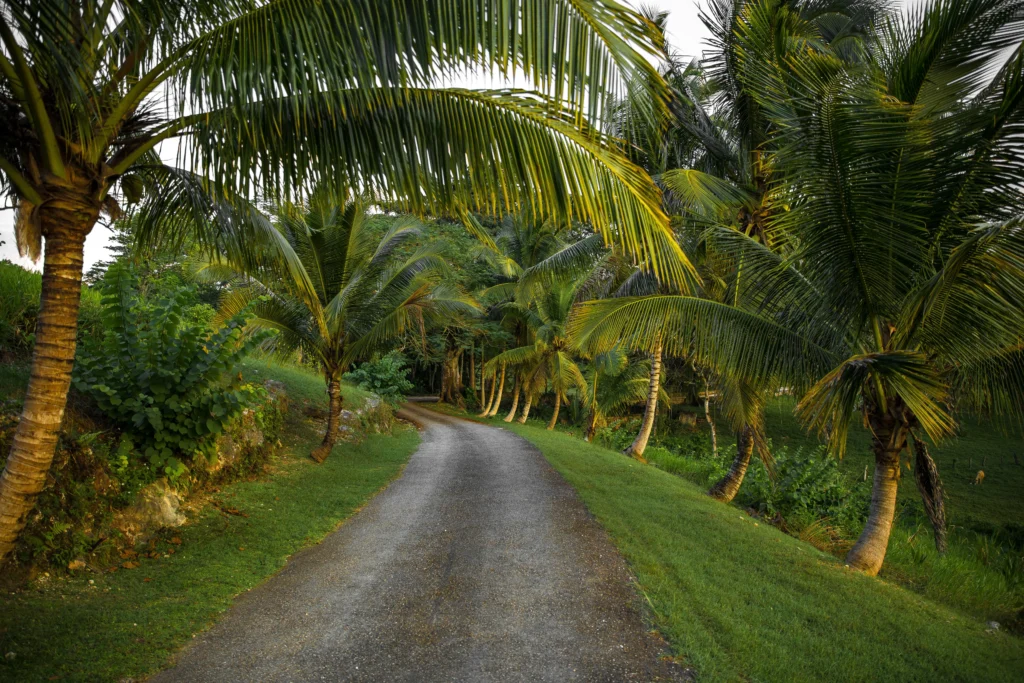 Countryside of Jamaica