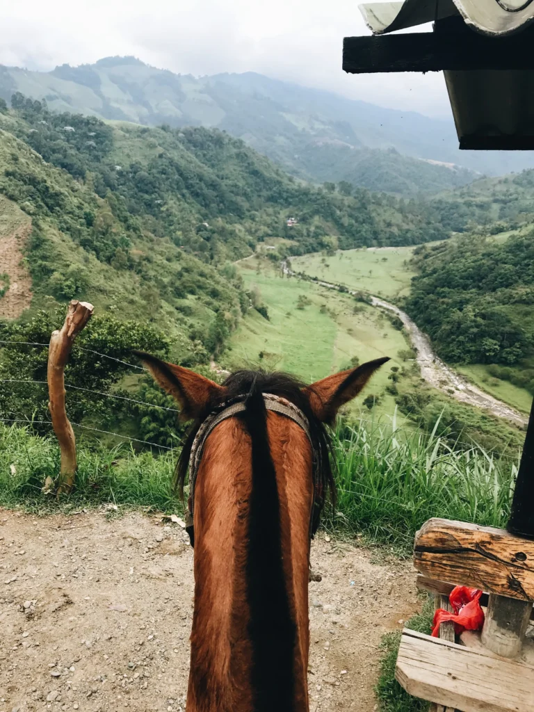 horseback riding in colombia